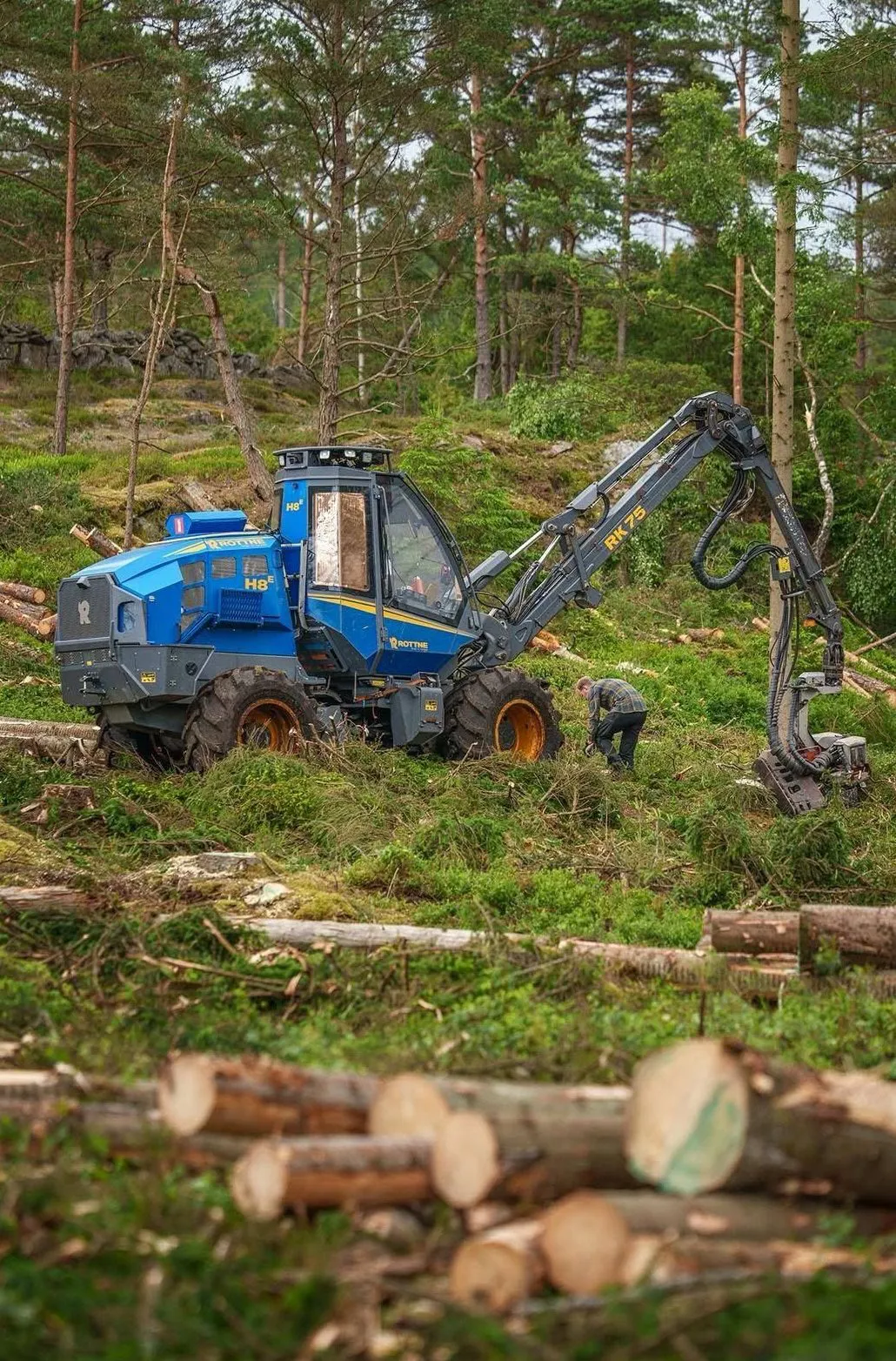 Skördaren i skogsbacken med kapade stockar i förgrunden